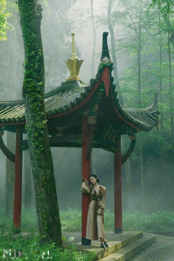 这是警察