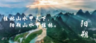 春雨直播app