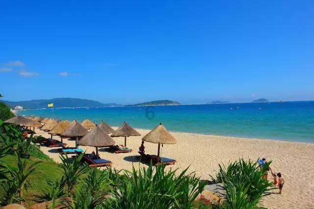 彩色夏天