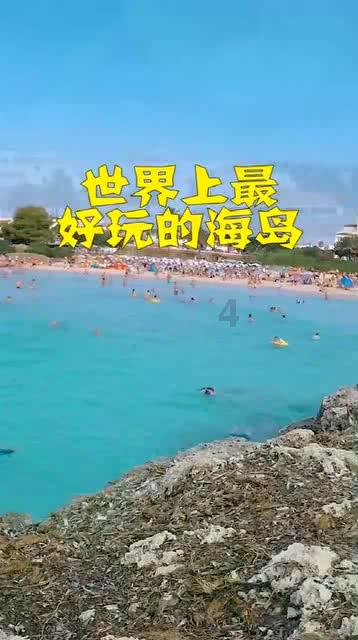 小猫钓鱼正版下载中文版