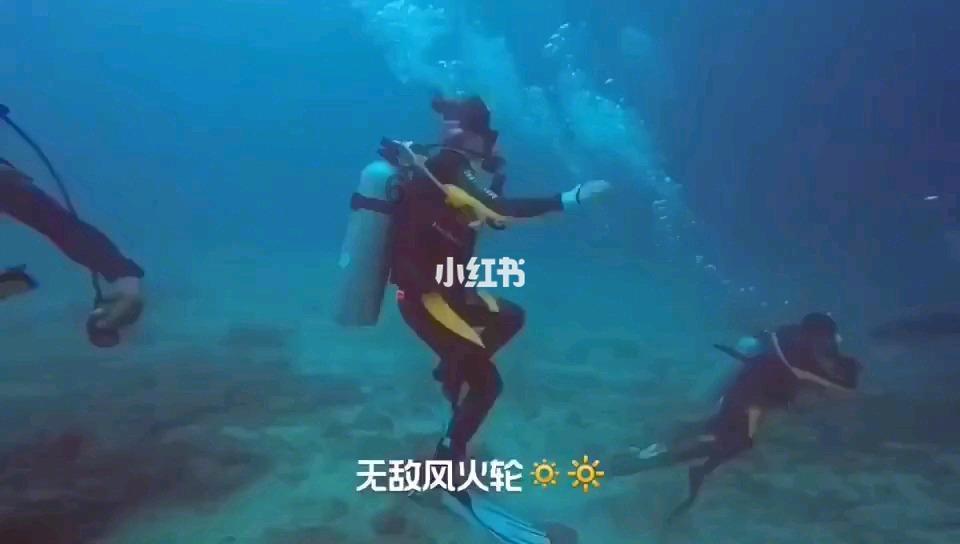 救援卡通老虎