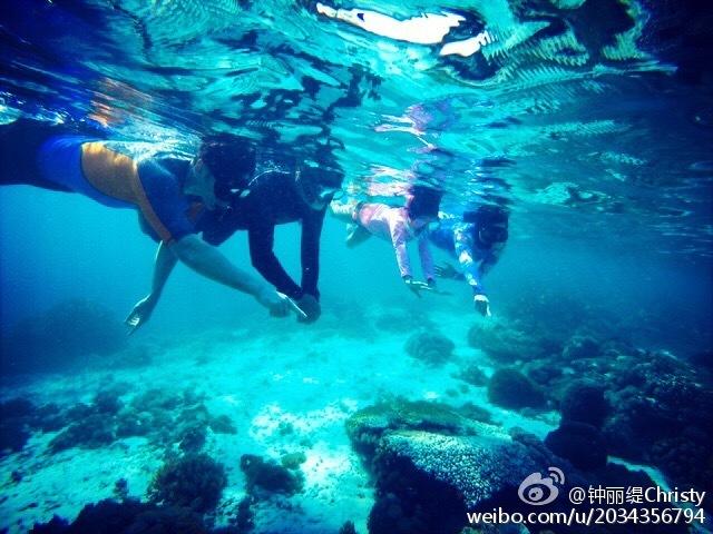 《萌探》迎来“鸡腿”夫妇,李沁自爆真实体重,杨紫一脸不可信