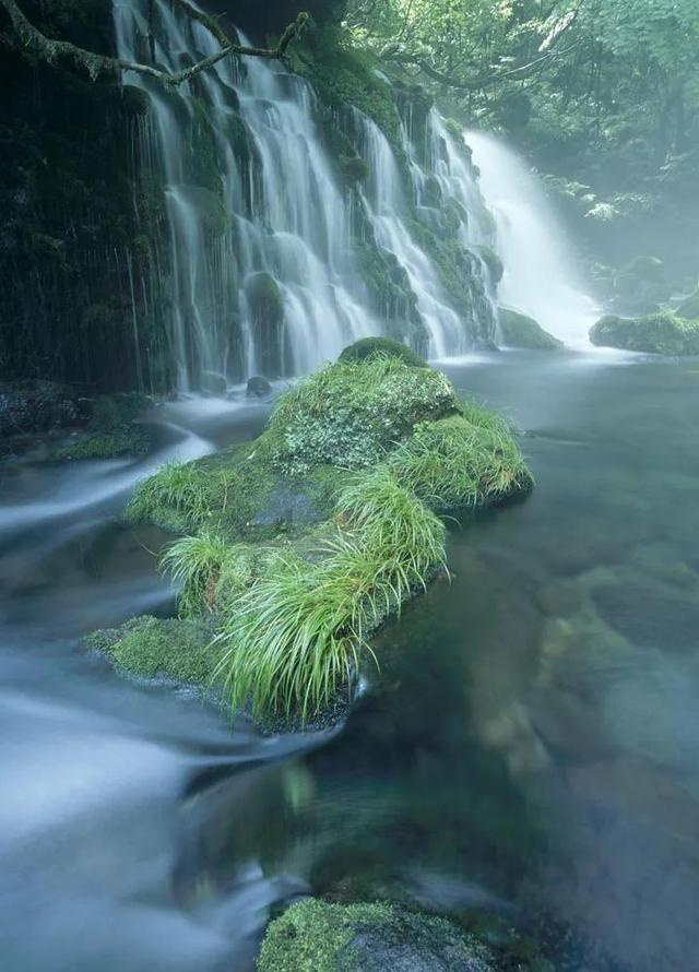 迷失在荒野