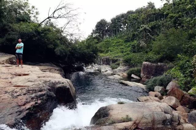 “小兔拔拔”水果萝卜