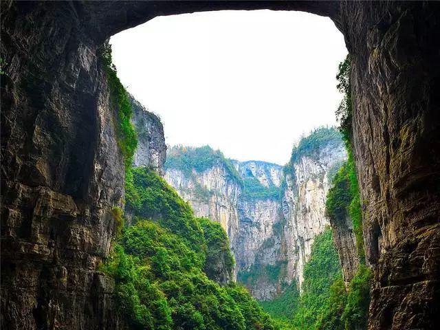 三大油脂集体飘红,反弹行情能否延续?