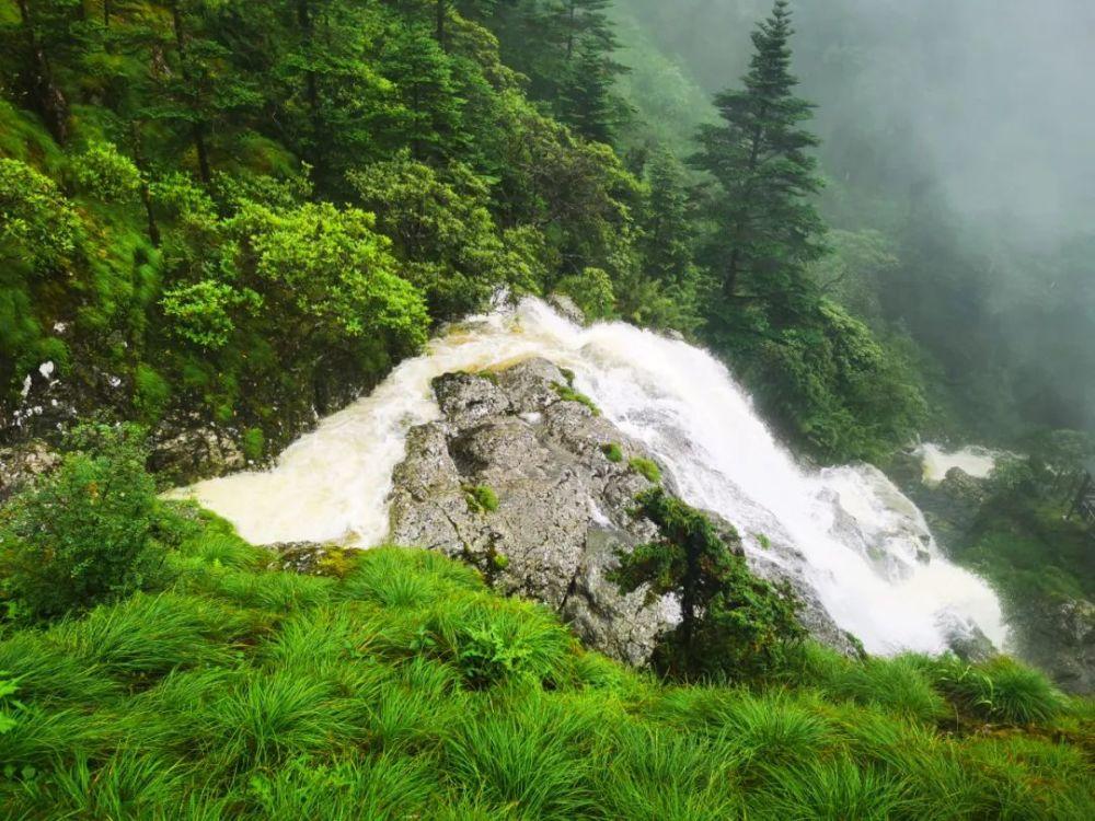 缤纷水果茶