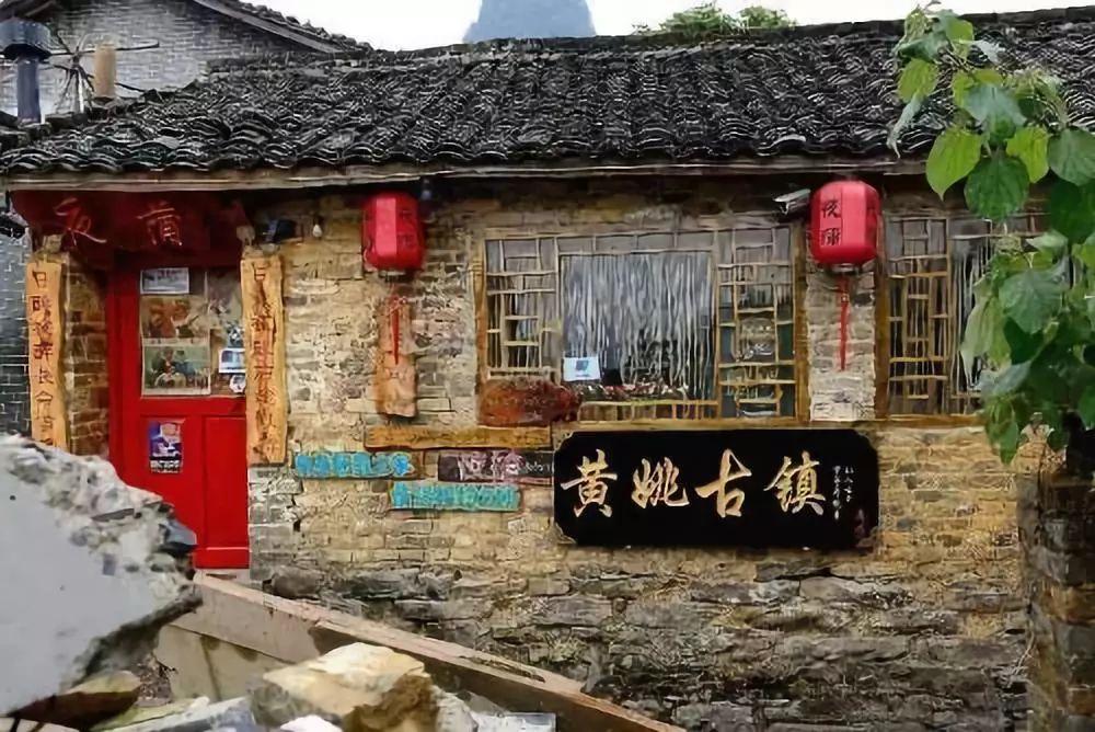 动物帮帮忙保卫家园