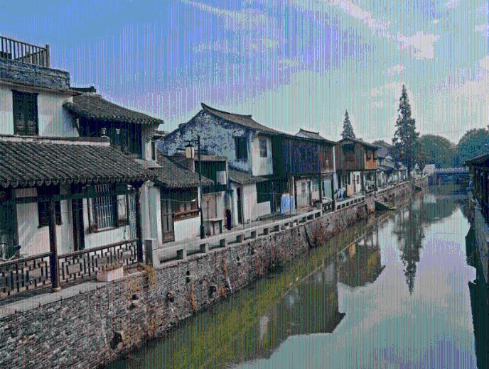 春雨直播app