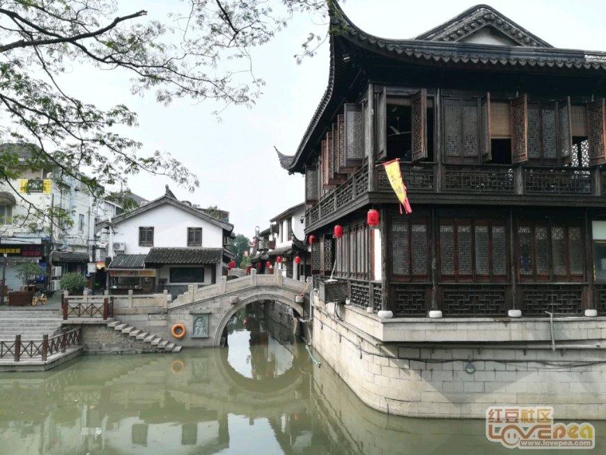 金龙送福 翰墨迎春
