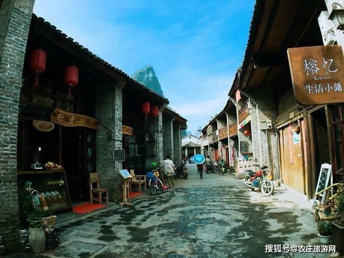 十香菜荆芥可以一起包饺子吗？游戏画面