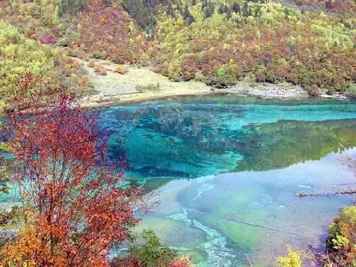 乐享国潮春节！“在逃母鸡”在2024三亚年货节FLY 3分会场嗨不停