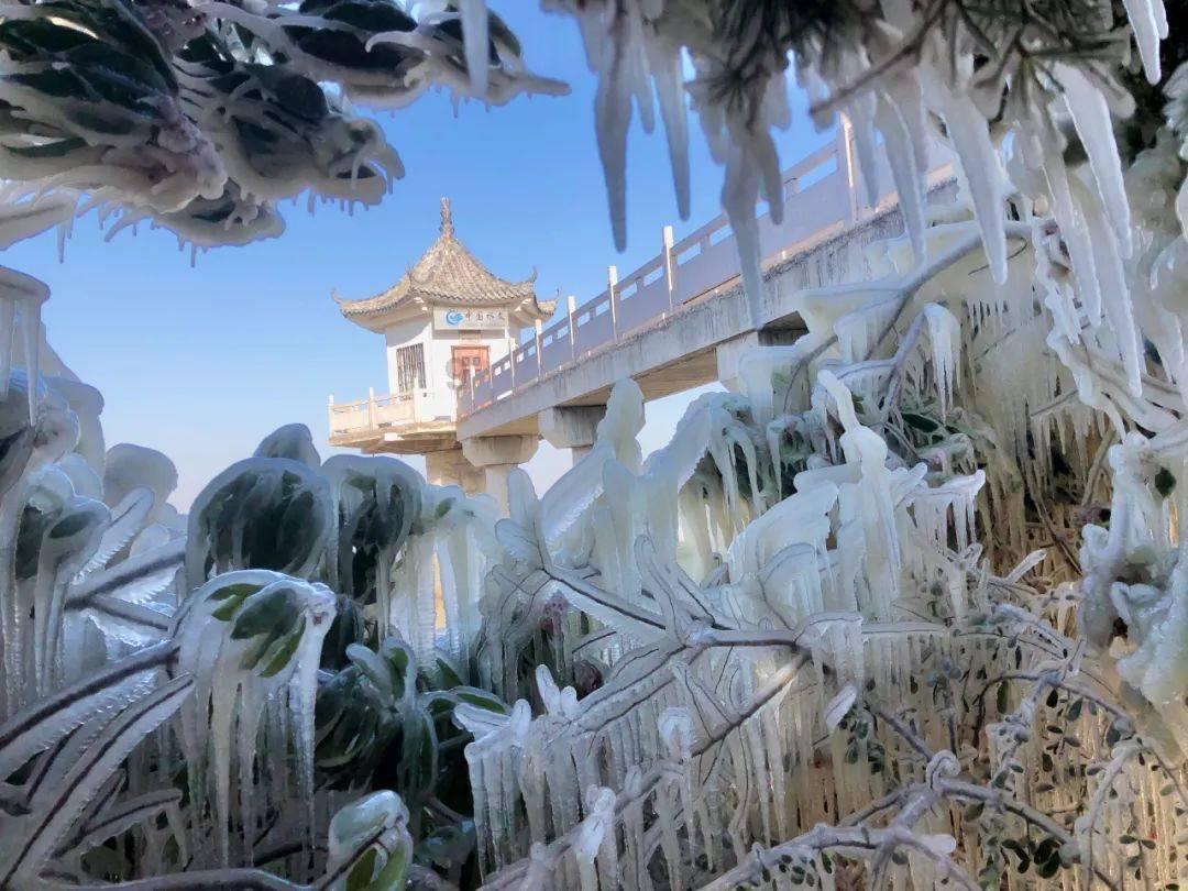 -(-12)怎么读？